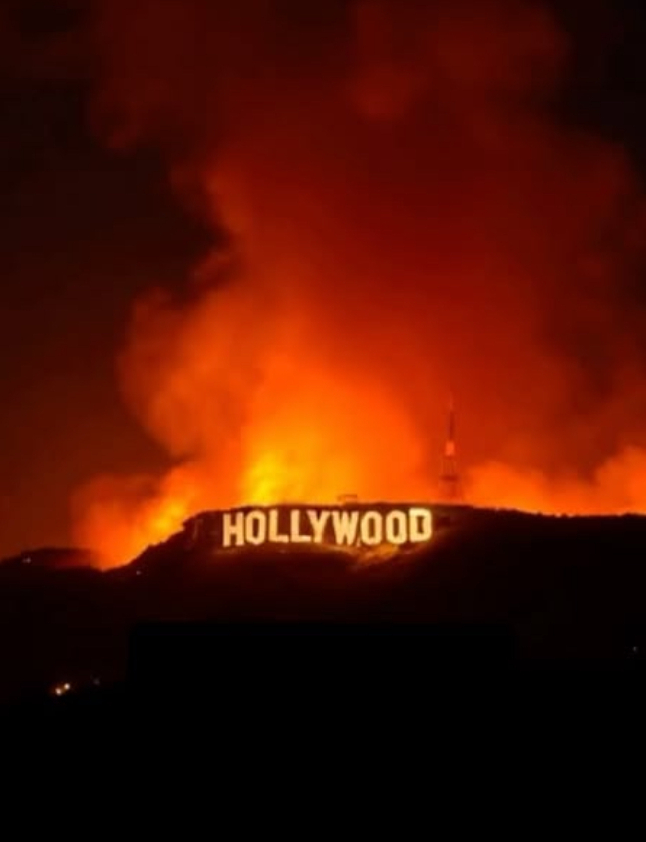 Wildfires Devastate Los Angeles, Celebrities Among Victims